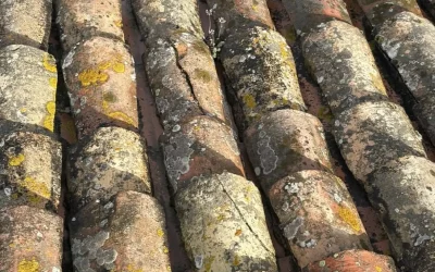 image d'un toit de recherche de fuites